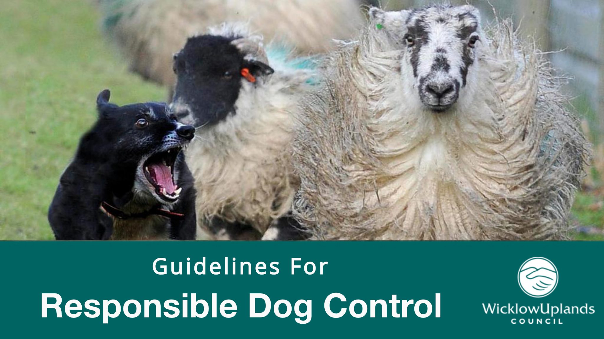 Guidelines for Responsible Dog Control Published Wicklow Uplands