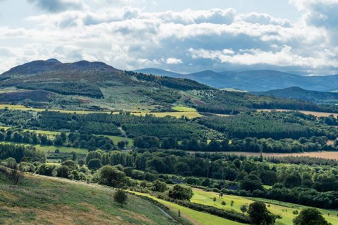 The Belmont Way - Wicklow Uplands